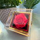 Luxury Love Knot With Roating Rose Gift Box From Mom And Dad